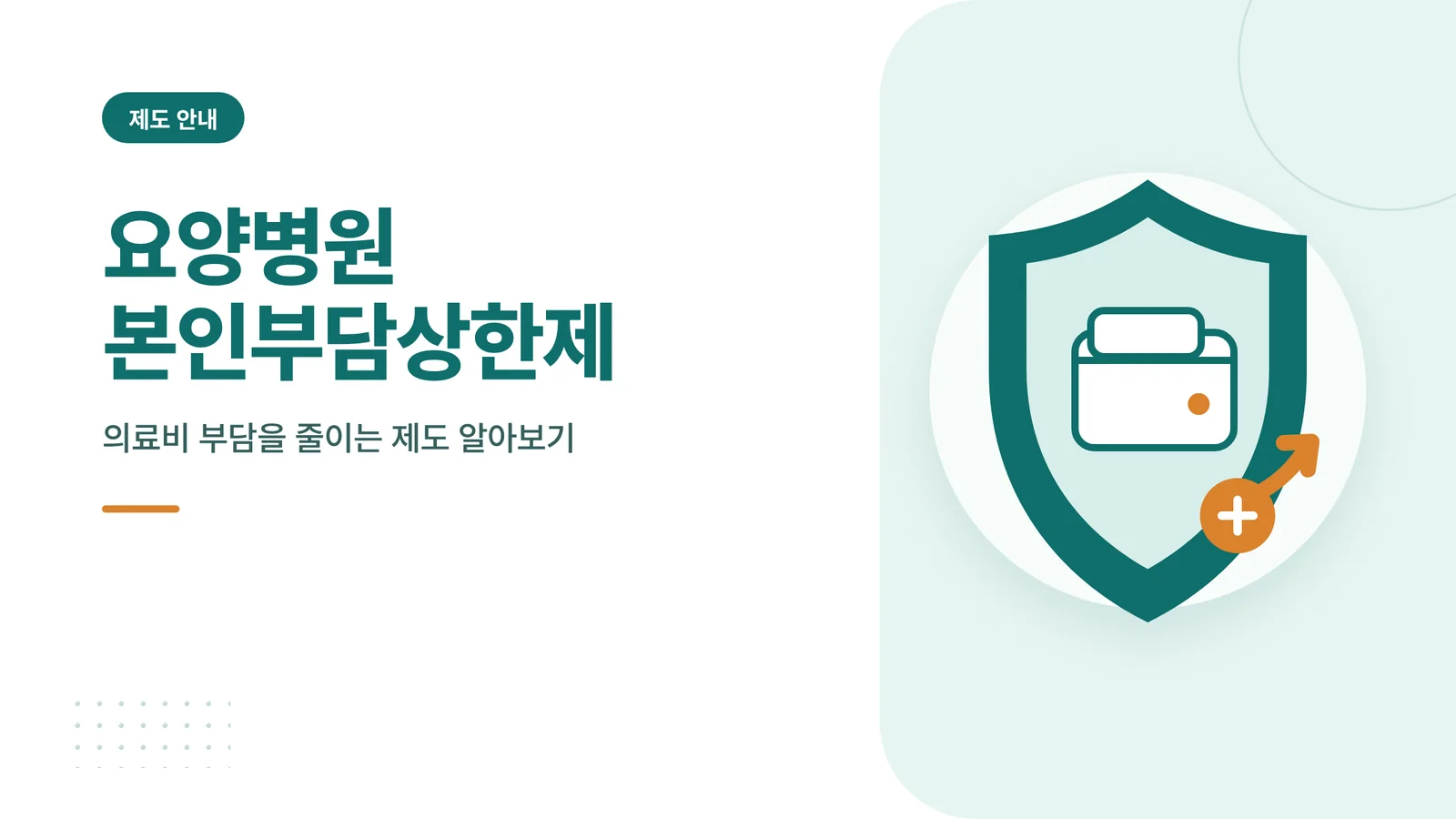 요양병원 본인부담상한제